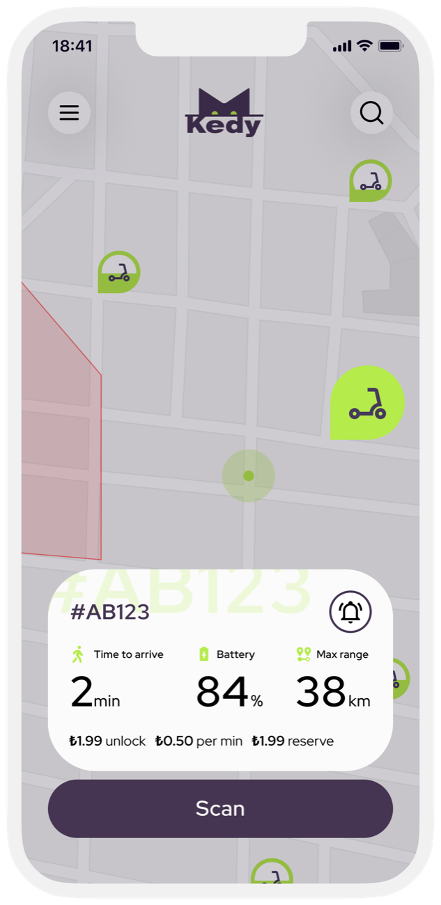 Group ride scooter details
